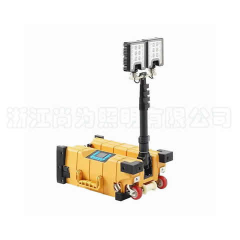 SZSW2981�๦���Ƅ�����ƽ�_