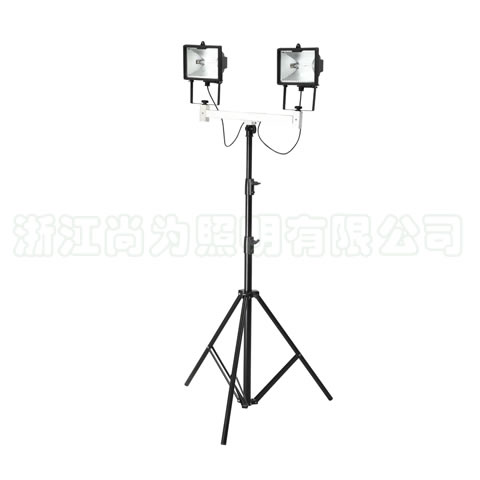 SZSW2930��y������