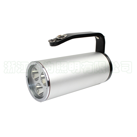 SW2301�̑B����̽�՟�